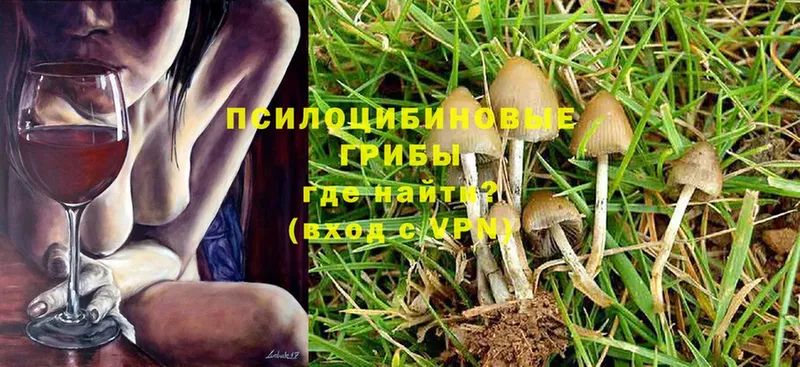 где продают наркотики  Лянтор  Псилоцибиновые грибы Psilocybe 